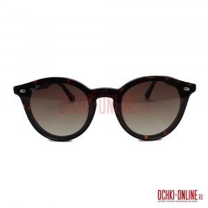 Ray Ban Blaze Panthos RB4380-N 710/13