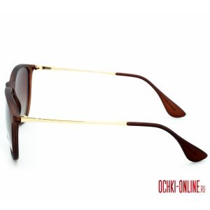 Ray Ban Erika RB 4171 869/13